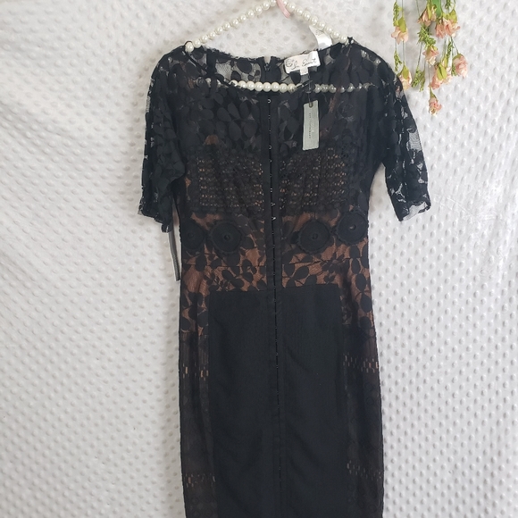 NWT Bryon Lars Anthropologie Carissima Sheath Dress Size 2 P Petite - Picture 6 of 11